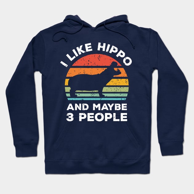 I Like Hippo and Maybe 3 People, Retro Vintage Sunset with Style Old Grainy Grunge Texture Hoodie by Ardhsells